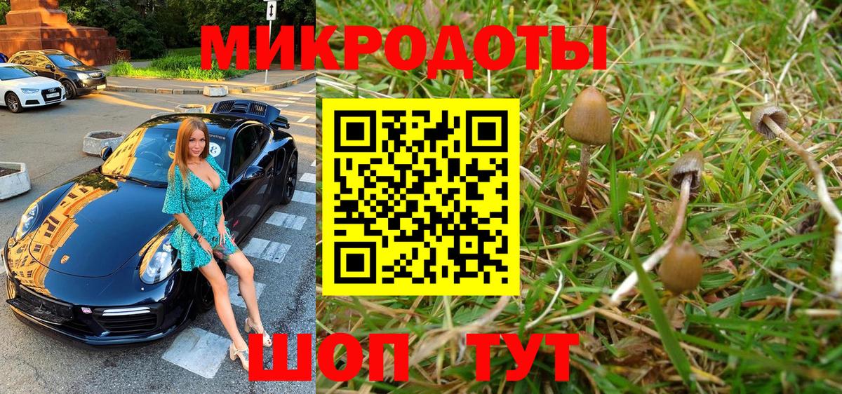 Галлюциногенные грибы Psilocybe  Вход с VPN  Сафоново 